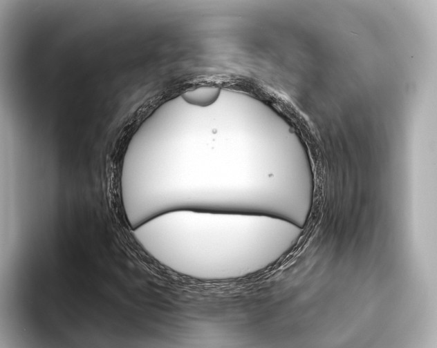 X0000094331399200711021122
