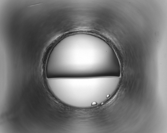 X0000094331406200711021123