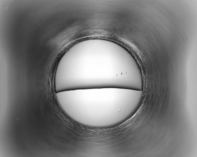 X0000094331407200711021123