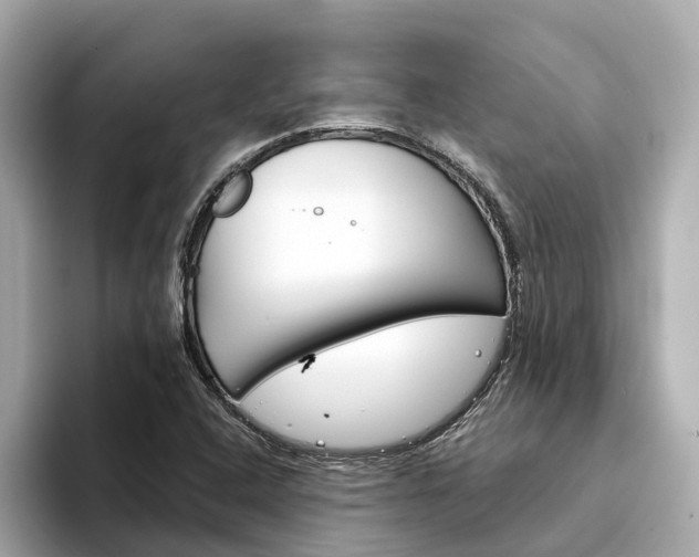 X0000094331408200711021123