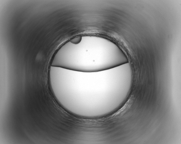 X0000094331409200711021123