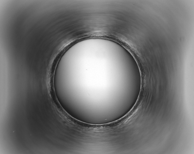 X0000094331410200711021123