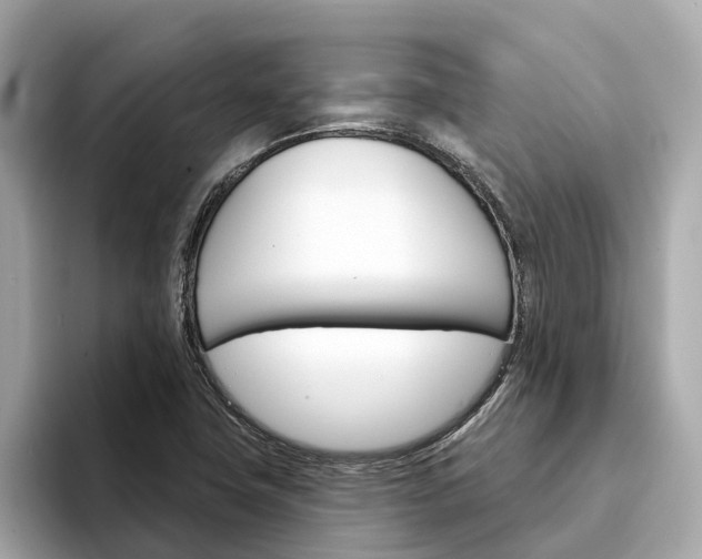 X0000094331411200711021123