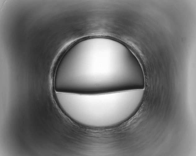 X0000094331416200711021123