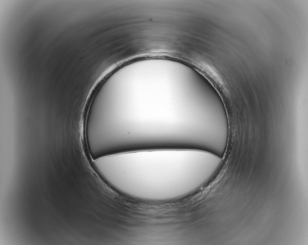 X0000094331420200711021123