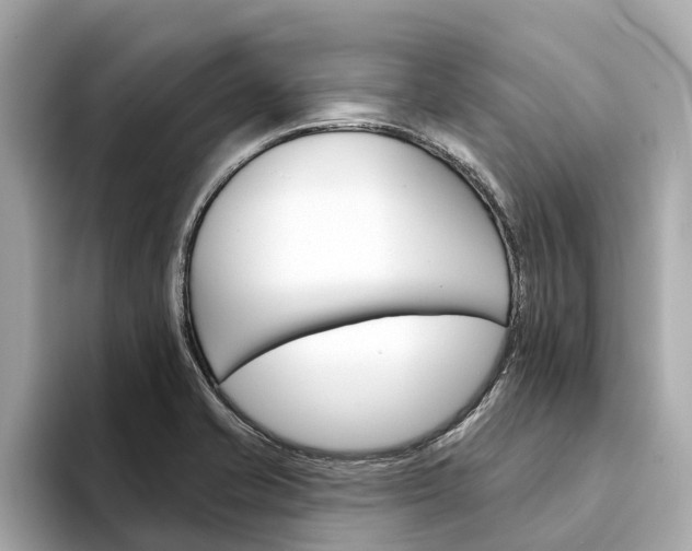 X0000094331421200711021123