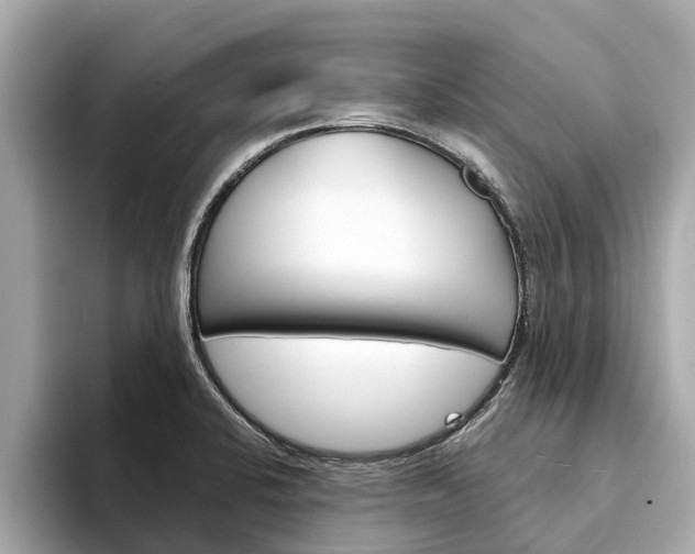 X0000094331424200711021123