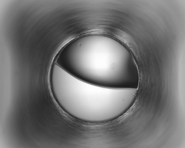 X0000094331426200711021123