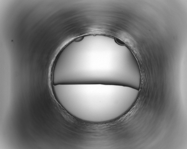 X0000094331427200711021123