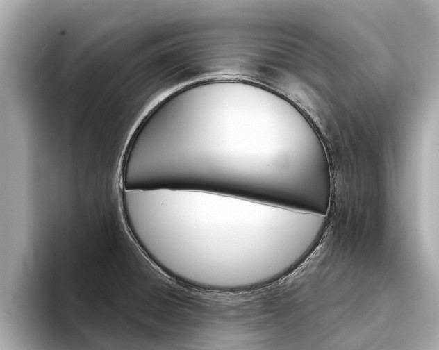 X0000094331428200711021123