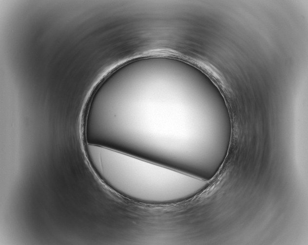 X0000094331430200711021123