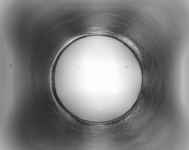 X0000094331431200711021123