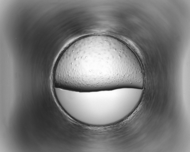 X0000094331432200711021123