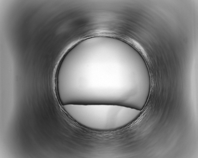 X0000094331435200711021123