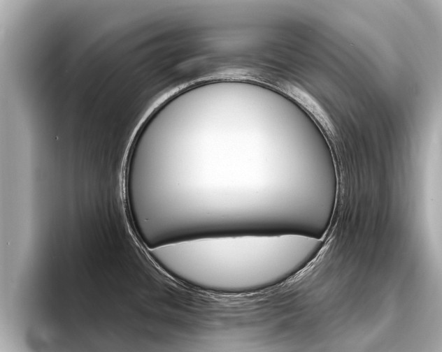 X0000094331436200711021123