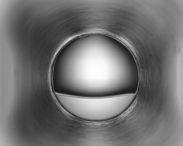 X0000094331438200711021123