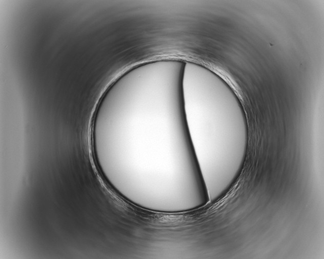 X0000094331439200711021123