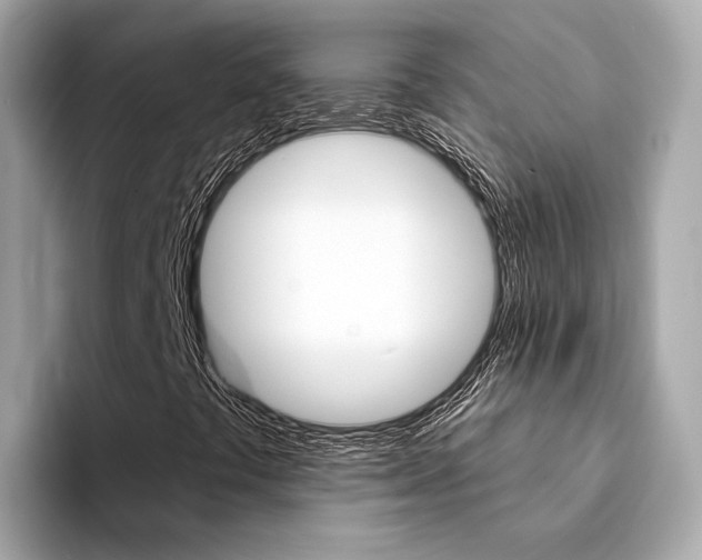 X0000094331441200711021122