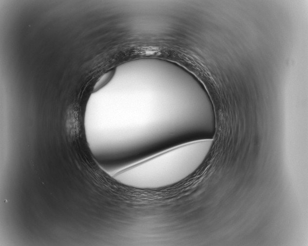 X0000094331442200711021122