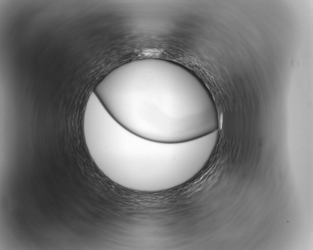 X0000094331443200711021122