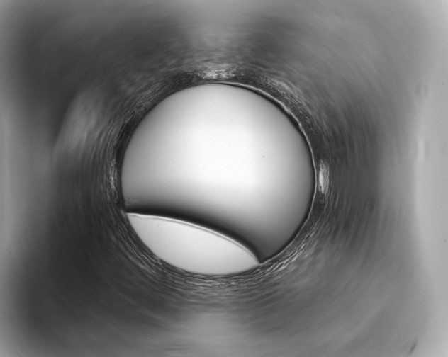 X0000094331444200711021122