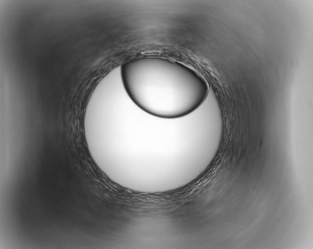 X0000094331445200711021122