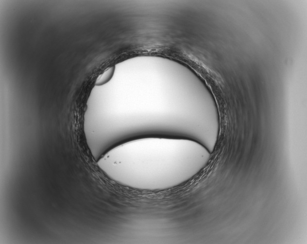X0000094331447200711021122
