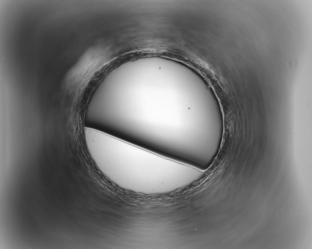 X0000094331448200711021122