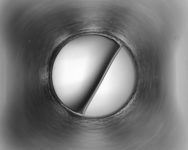 X0000094331450200711021122