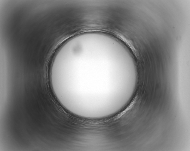 X0000094331453200711021122