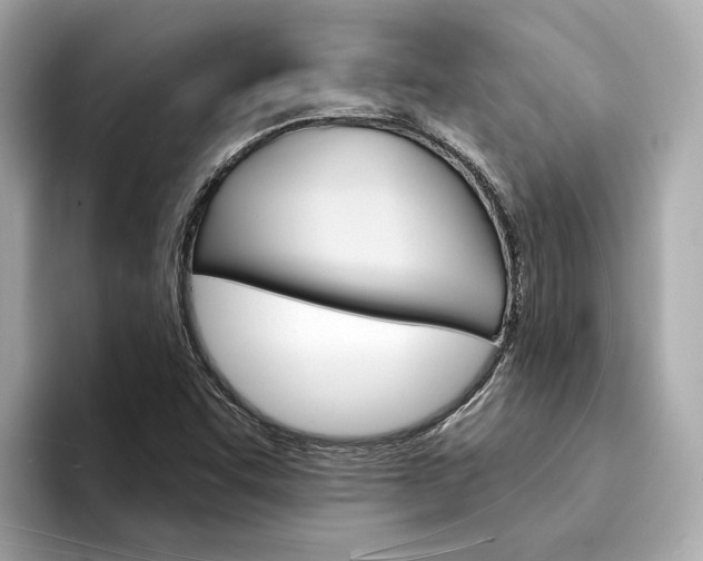 X0000094331455200711021122
