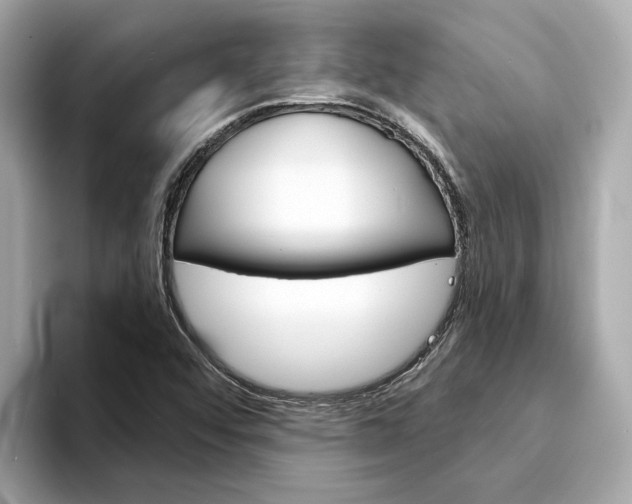 X0000094331456200711021122