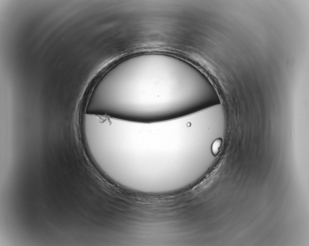 X0000094331458200711021122