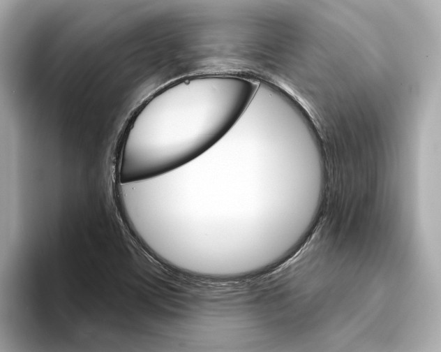 X0000094331459200711021122
