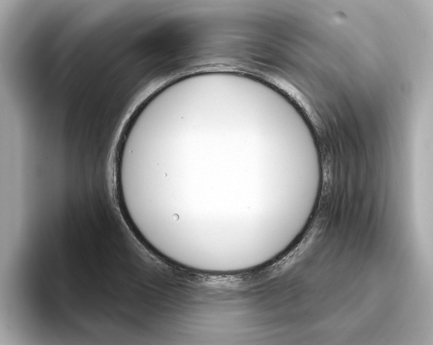 X0000094331466200711021122