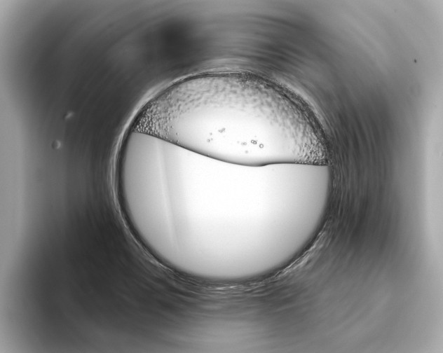 X0000094331467200711021122