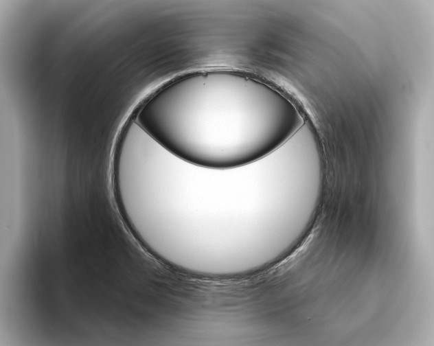 X0000094331469200711021122