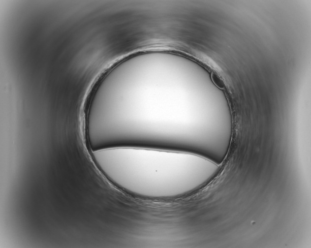 X0000094331472200711021122