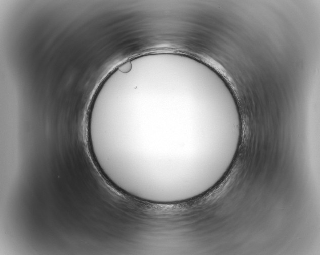 X0000094331474200711021122