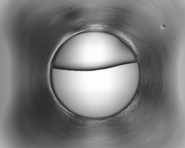 X0000094331475200711021122