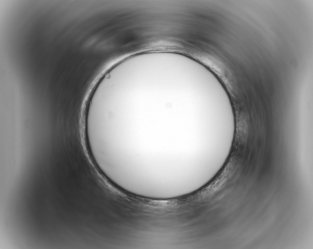 X0000094331478200711021122