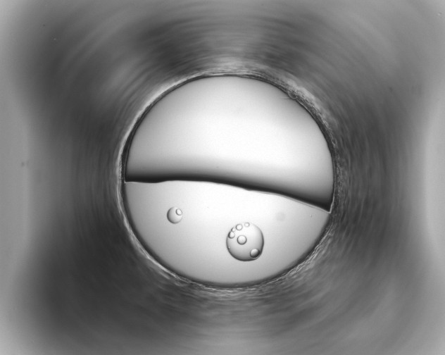 X0000094331479200711021122