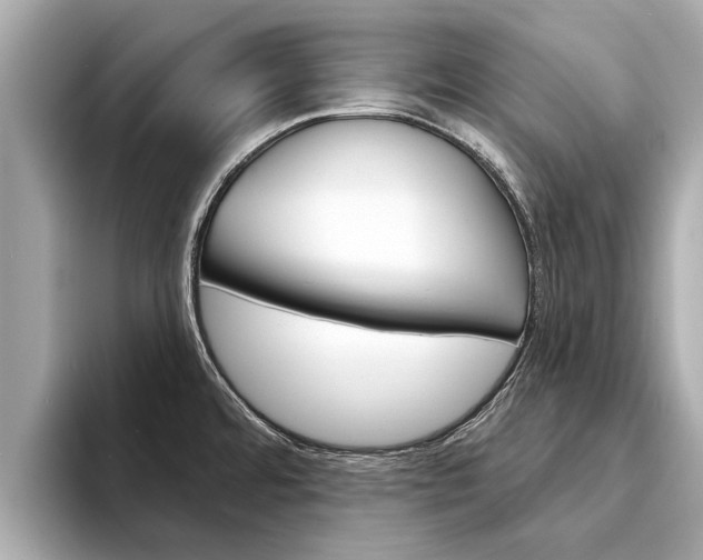 X0000094331480200711021122