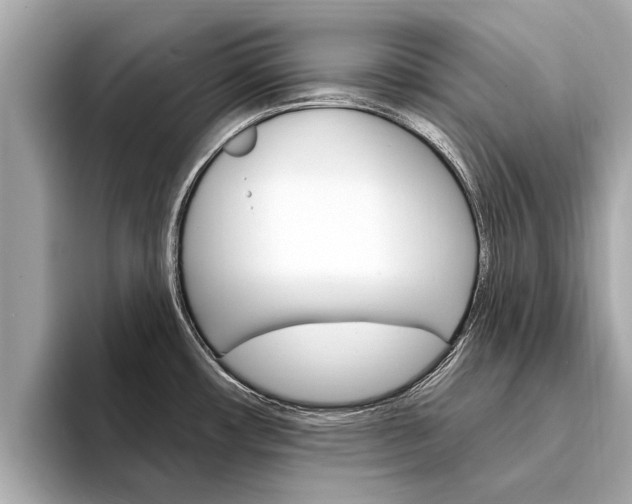 X0000094331482200711021122