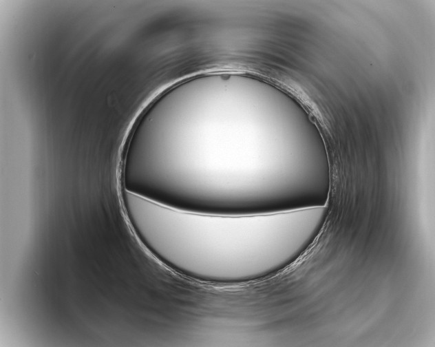 X0000094331484200711021122