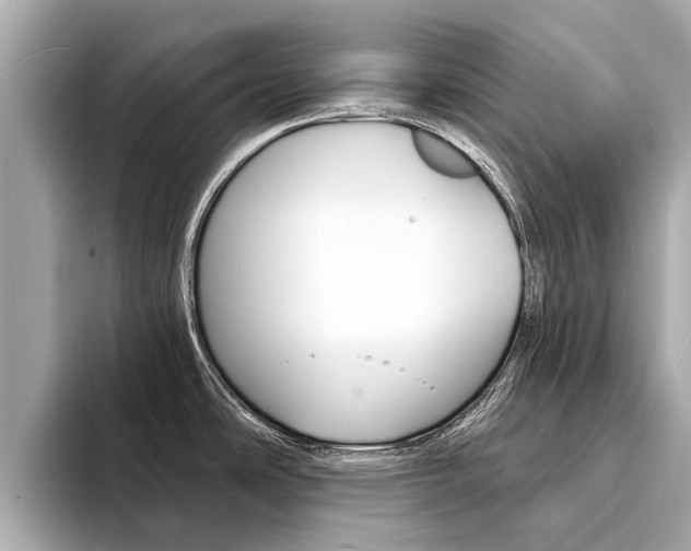 X0000094331486200711021122