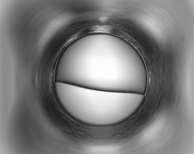 X0000094331487200711021122