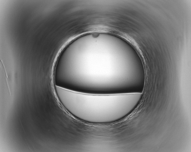 X0000094331488200711021122