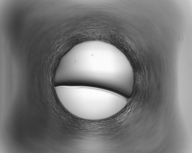 X0000094331489200711021121