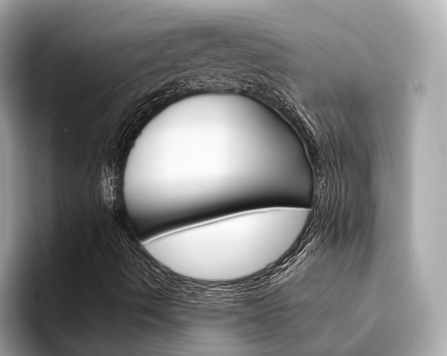 X0000094331490200711021121